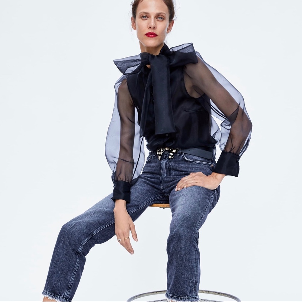 ZARA Semi Sheer Blouse with Tied Bow - Picture 8 of 8